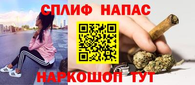 a pvp Тара