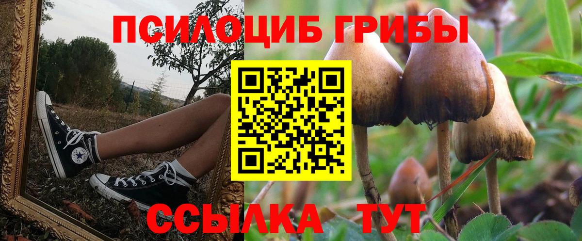 Галлюциногенные грибы MAGIC MUSHROOMS Псков