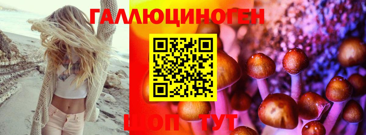 Псков  Галлюциногенные грибы Psilocybe  Вход с VPN 