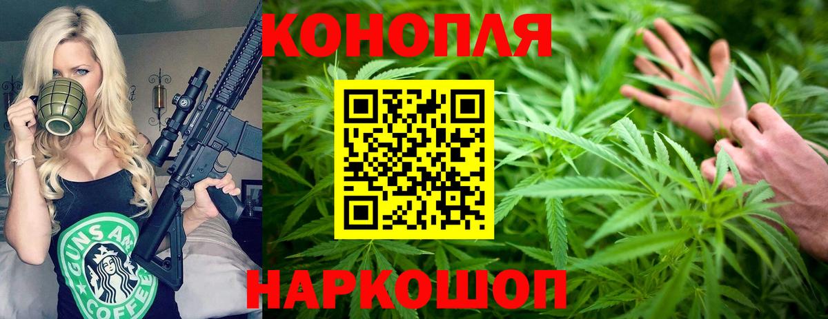 Псков  Марихуана тримм  Вход с VPN  Бошки Шишки OG Kush 